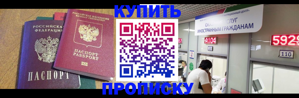 прописка в квартире в Фрязино